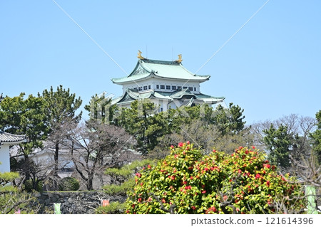 春天名古屋城堡 春天名古屋城堡 121614396