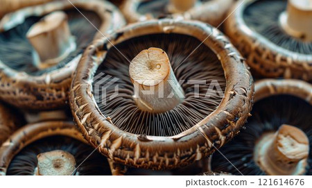 Sentence about, mushroom soup sliced diced Bella baby 121614676