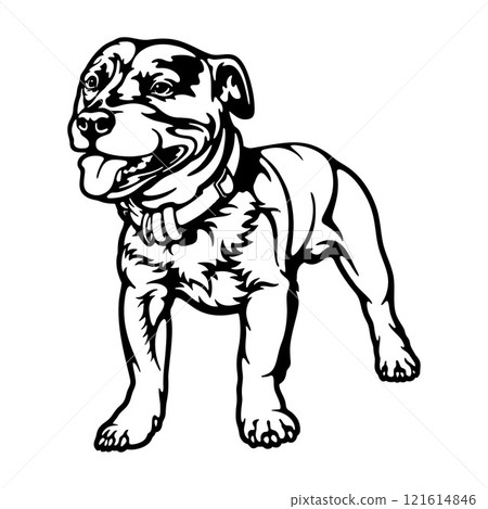 Staffordshire Bull Terrier Dog Breed - Pet Vector Cut file, Dog Silhouette Stencil - Cricut file Staffordshire Bull Terrier Dog Breed - Pet Vector Cut file, Dog Silhouette Stencil - Cricut file 121614846