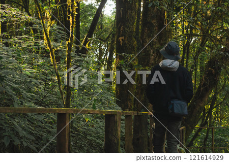 travel and people activity concept with asian man hiking in tropical forest on mountain 121614929