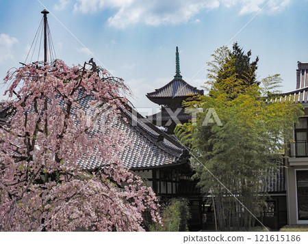 Happo Hakoshoji in spring 121615186