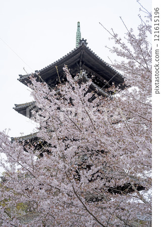 Happo Hakoshoji在春天 121615196