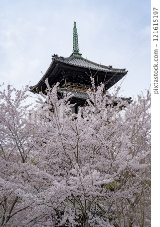 Happo Hakoshoji在春天 121615197
