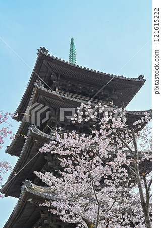 Happo Hakoshoji在春天 Happo Hakoshoji在春天 121615222
