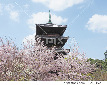 Happo Hakoshoji在春天 Happo Hakoshoji在春天 121615236