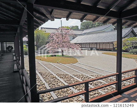 Happo Hakoshoji in spring 121615249