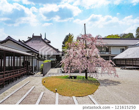 Happo Hakoshoji在春天 Happo Hakoshoji在春天 121615250