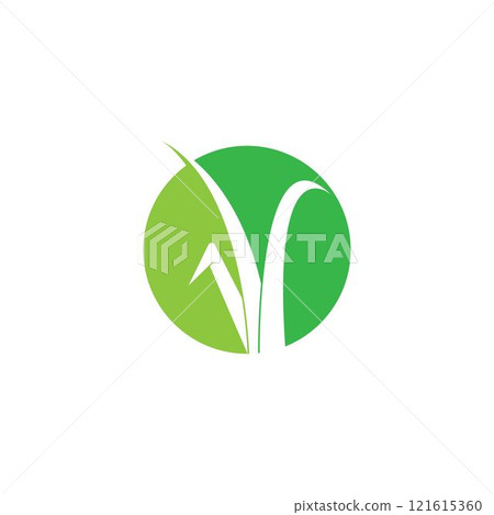 Grass logo vector Grass logo vector 121615360