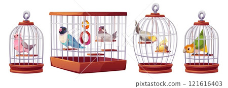 Colorful parrots in metal cage Colorful parrots in metal cage 121616403