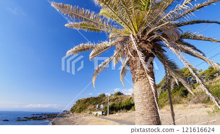 Blue sky and sea 121616624