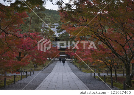 Nanzenji Temple Approach: Early Morning Walk and Praying 5 121617460