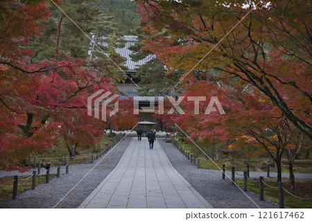 Nanzenji Temple Approach: Early Morning Walk and Praying 6 121617462