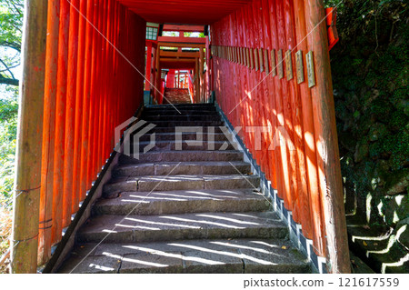 秋天的太鼓穀稻荷神社、島根縣嘉子郡津和野町的千鳥居 121617559