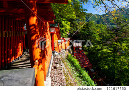 秋天的太鼓穀稻荷神社，島根縣嘉子郡津和野町2000個鳥居 121617560