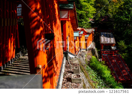 Autumn at Taikodani Inari Shrine: A row of 1,000 torii gates 3, Tsuwano Town, Kashima Prefecture Autumn at Taikodani Inari Shrine: A row of 1,000 torii gates 3, Tsuwano Town, Kashima Prefecture 121617561