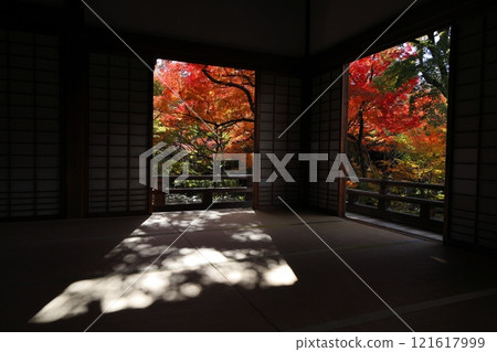 Treasure housing autumn leaves 121617999