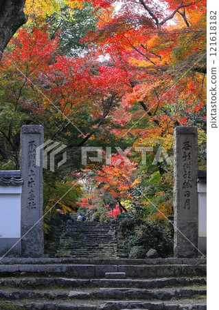 Jozumi Temple秋葉 121618182