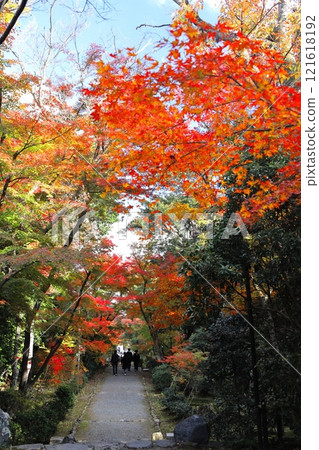 Jozumi Temple秋葉 Jozumi Temple秋葉 121618192