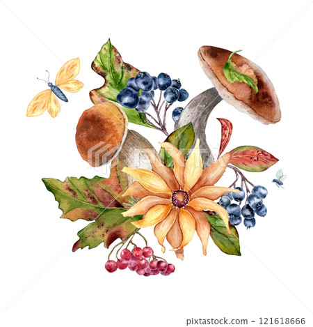 Autumn forest plants in watercolor composition with sunflower, mushrooms and red berries isolated. Seasonal illustration with bolete, black chokeberry and butterfly hand drawn. Fall botanical sketch. 121618666