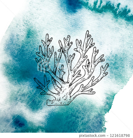 Coral on a watercolor spot. Hand painted line reef sketch. Graphic tropical clip art isolated on background. Underwater illustration. For designers, invitations, decoration, postcards, wrapping paper Coral on a watercolor spot. Hand painted line reef sketch. Graphic tropical clip art isolated on background. Underwater illustration. For designers, invitations, decoration, postcards, wrapping paper 121618798