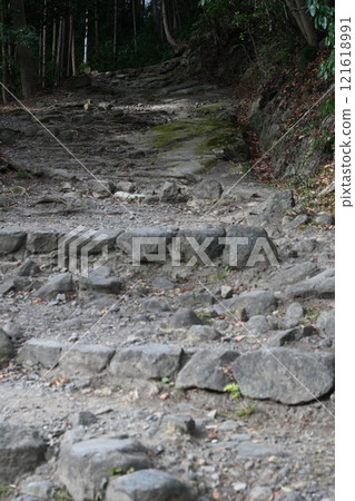 Shiogama Shrine's Shichimagarizaka 121618991