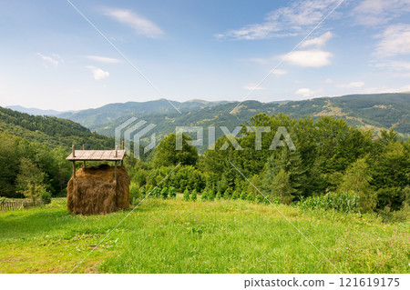 rural landscape in summer. green environment. haystack on the grassy field. sunny day. forest on the hill of carpathian mountain range beneath a blue sky. beautiful view 121619175