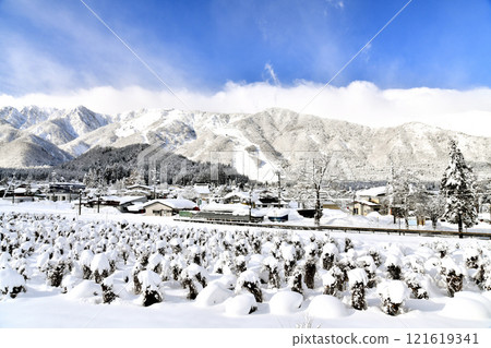 View of the Hakuba Goryu Ski Resort from near Iimori Station on the JR Oito Line (Hakuba Village, Nagano Prefecture) [2024.12] 121619341