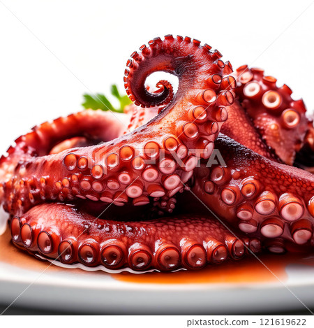 Extreme Close-up of Cooked Octopus Tentacles Isolated on White Background - Generative Ai 121619622