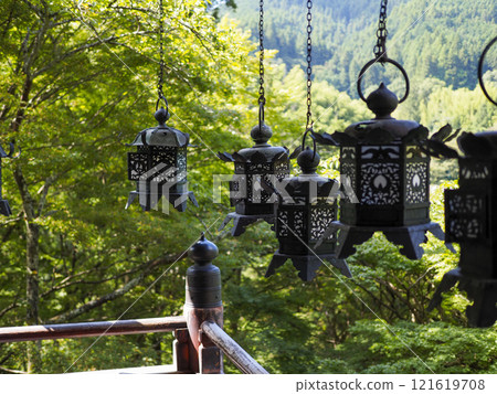 Hanging lanterns and green maples at Tanzan Shrine 121619708