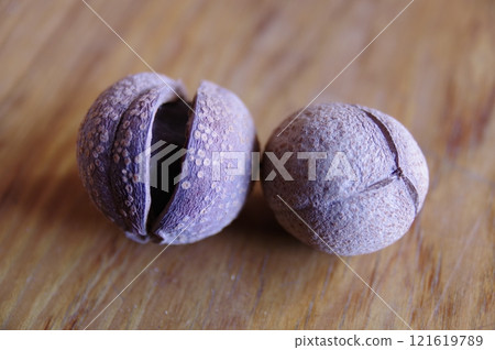 成熟時，它分裂成三塊，裡面有棕色種子 1。 121619789