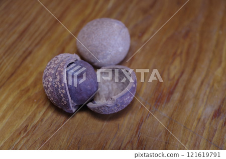 When ripe, it splits into three parts and has brown seeds inside. When ripe, it splits into three parts and has brown seeds inside. 121619791