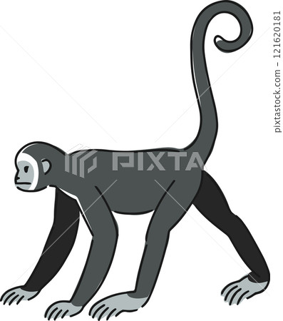 Hand drawn gibbon illustration Hand drawn gibbon illustration 121620181