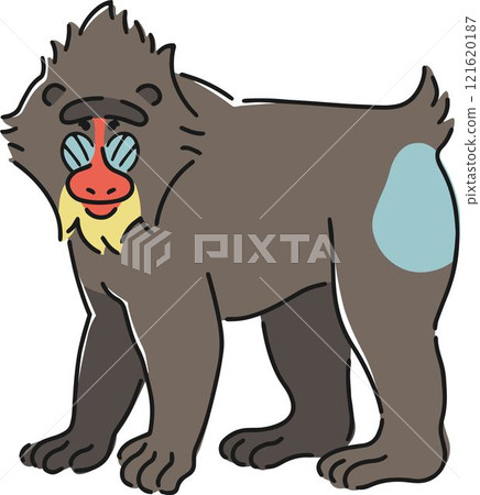 手繪山魈插畫 手繪山魈插畫 121620187