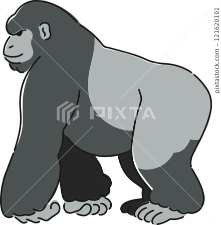 Hand drawn gorilla illustration 121620191