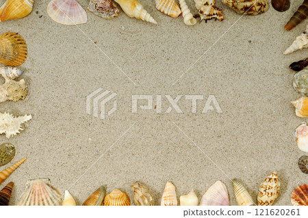 Shell frame 121620261