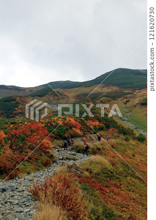 Scenery of the mountain trail of Raichozaka in autumn 121620730