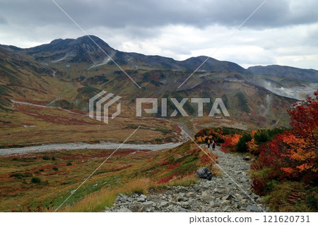 從雷朝澤到雷朝澤露營地的風景 121620731