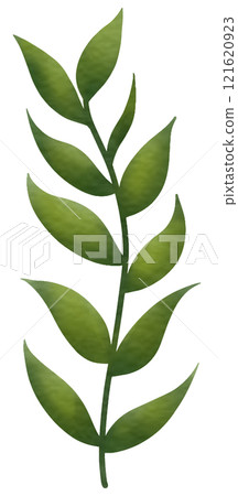 Coral reef Coral reef 121620923