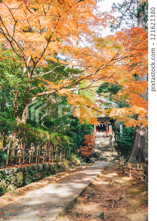 筑波山神社 嚴島神社 秋葉 筑波山神社 嚴島神社 秋葉 121621380