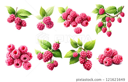fruit, berry, raspberry 121621649