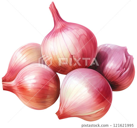 Onion Onion 121621995