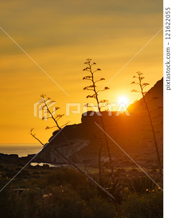 Coast landscape at sunset in Spain 121622055