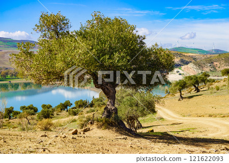 Spanish nature landscape in Andalucia. 121622093