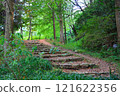 A path surrounded by green 121622356