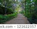 The way to the forest 121622357