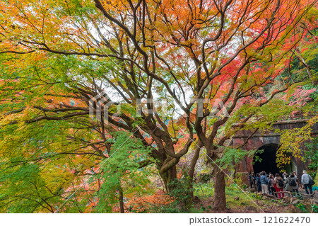 Aigi Tunnels, Autumn Special Opening (Kasugai City, Aichi Prefecture) Aigi Tunnels, Autumn Special Opening (Kasugai City, Aichi Prefecture) 121622470