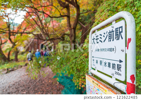 Aigi Tunnels, Autumn Special Opening (Kasugai City, Aichi Prefecture) Aigi Tunnels, Autumn Special Opening (Kasugai City, Aichi Prefecture) 121622485