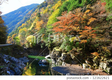 奈良縣川崎川谷的秋葉 121622621