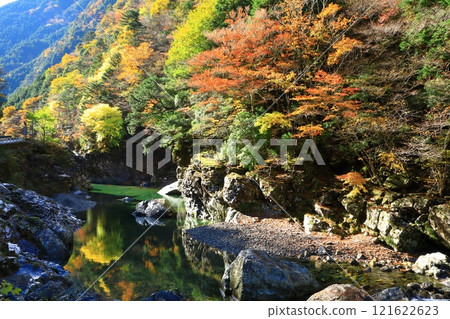 奈良縣川崎川谷的秋葉 121622623
