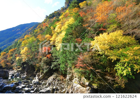 奈良縣川崎川谷的秋葉 奈良縣川崎川谷的秋葉 121622624